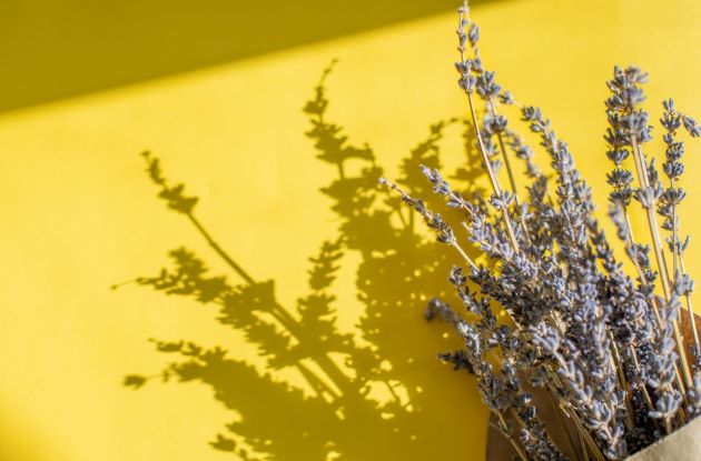 Lemon Lavender