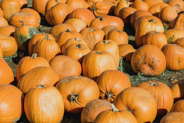 Pumpkin Spice